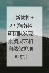 新物种+2！海南科研团队发现素贞灵芝和自然保护地壁虎