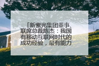 新紫光集团董事、联席总裁陈杰：我国有移动互联网时代的成功经验，最有能力做好AI应用创新