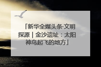 新华全媒头条·文明探源｜金沙遗址：太阳神鸟起飞的地方