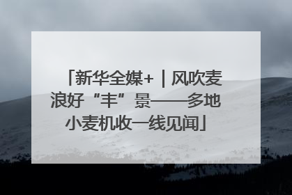 新华全媒+｜风吹麦浪好“丰”景——多地小麦机收一线见闻