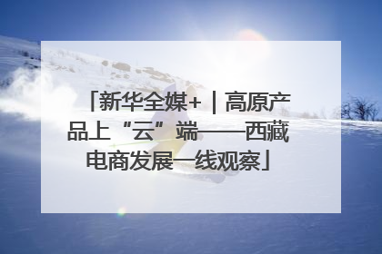 新华全媒+｜高原产品上“云”端——西藏电商发展一线观察