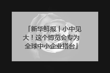 新华鲜报丨小中见大！这个博览会专为全球中小企业搭台