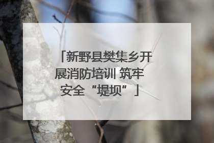新野县樊集乡开展消防培训 筑牢安全“堤坝”