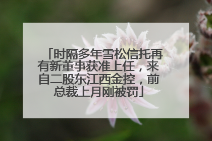 时隔多年雪松信托再有新董事获准上任，来自二股东江西金控，前总裁上月刚被罚