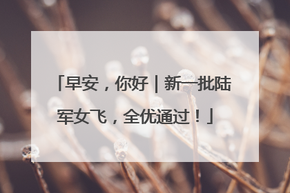 早安，你好｜新一批陆军女飞，全优通过！
