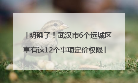 明确了！武汉市6个远城区享有这12个事项定价权限