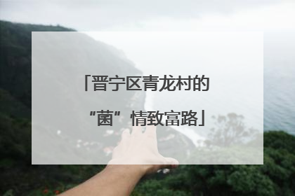 晋宁区青龙村的“菌”情致富路