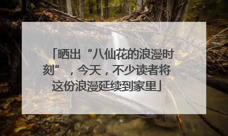 晒出“八仙花的浪漫时刻”，今天，不少读者将这份浪漫延续到家里