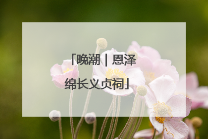 晚潮｜恩泽绵长义贞祠