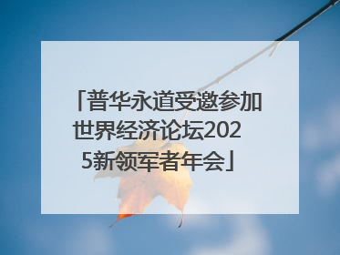 普华永道受邀参加世界经济论坛2025新领军者年会