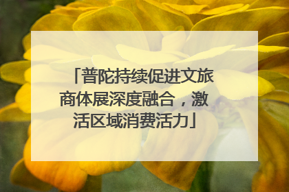 普陀持续促进文旅商体展深度融合，激活区域消费活力
