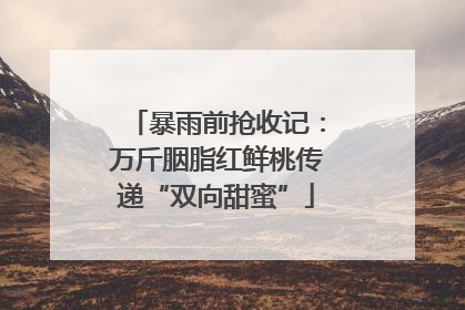 暴雨前抢收记：万斤胭脂红鲜桃传递“双向甜蜜”