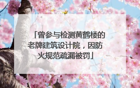 曾参与检测黄鹤楼的老牌建筑设计院，因防火规范疏漏被罚