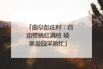 曲阜彭庄村：百亩樱桃红满枝 硕果盈园采摘忙