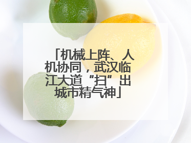 机械上阵、人机协同，武汉临江大道“扫”出城市精气神