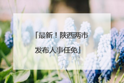 最新！陕西两市发布人事任免