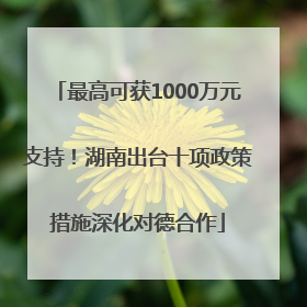 最高可获1000万元支持！湖南出台十项政策措施深化对德合作