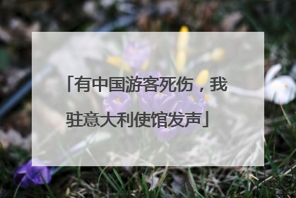 有中国游客死伤，我驻意大利使馆发声