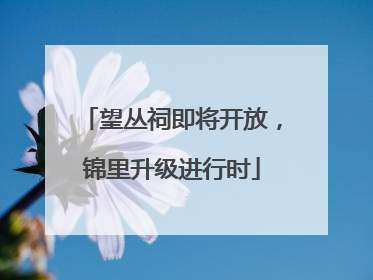 望丛祠即将开放，锦里升级进行时