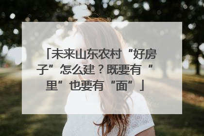 未来山东农村“好房子”怎么建？既要有“里”也要有“面”