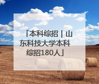 本科综招｜山东科技大学本科综招180人