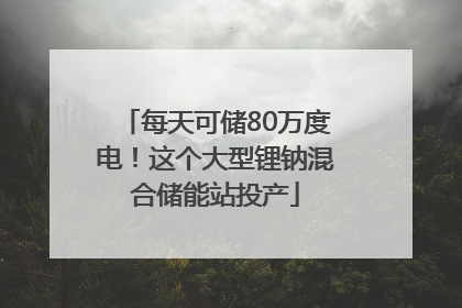 每天可储80万度电！这个大型锂钠混合储能站投产