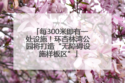 每300米即有一处设施！环杏林湾公园将打造“无障碍设施样板区”