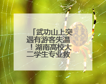 武功山上突遇有游客失温！湖南高校大二学生专业救助操作获赞