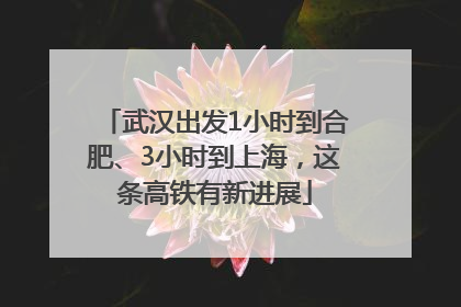 武汉出发1小时到合肥、3小时到上海，这条高铁有新进展