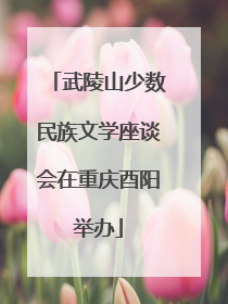 武陵山少数民族文学座谈会在重庆酉阳举办