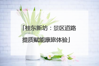 桂东新坊：景区道路提质赋能康旅体验