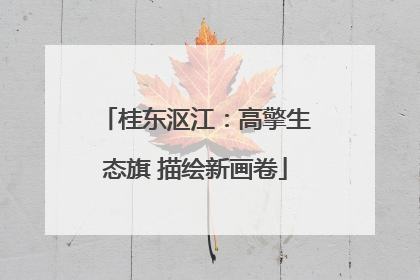 桂东沤江：高擎生态旗 描绘新画卷