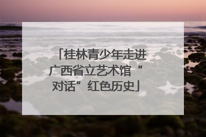 桂林青少年走进广西省立艺术馆“对话”红色历史