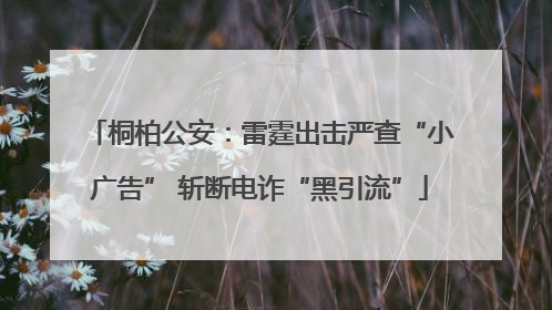 桐柏公安：雷霆出击严查“小广告” 斩断电诈“黑引流”