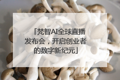 梵智AI全球直播发布会，开启创业者的数字新纪元