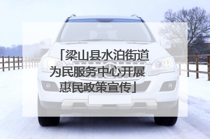 梁山县水泊街道为民服务中心开展惠民政策宣传