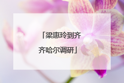 梁惠玲到齐齐哈尔调研
