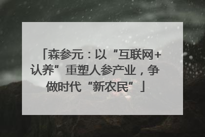 森参元：以“互联网+认养”重塑人参产业，争做时代“新农民”