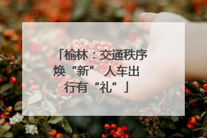 榆林：交通秩序焕“新” 人车出行有“礼”