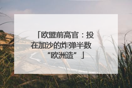欧盟前高官：投在加沙的炸弹半数“欧洲造”