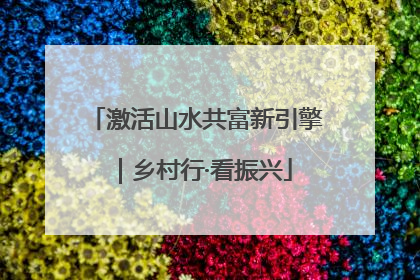 激活山水共富新引擎｜乡村行·看振兴