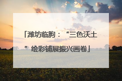 潍坊临朐：“三色沃土”绘彩铺展振兴画卷