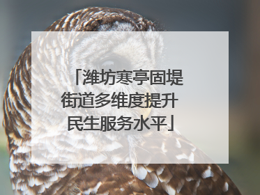 潍坊寒亭固堤街道多维度提升民生服务水平