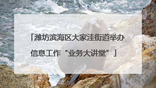 潍坊滨海区大家洼街道举办信息工作“业务大讲堂”