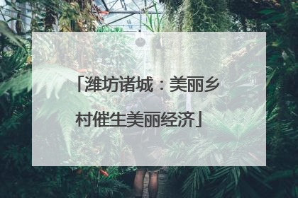 潍坊诸城：美丽乡村催生美丽经济