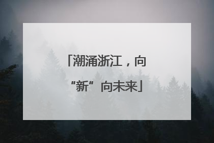 潮涌浙江，向“新”向未来