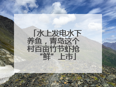 水上发电水下养鱼，青岛这个村百亩竹节虾抢“鲜”上市