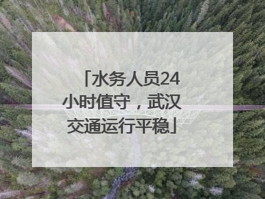 水务人员24小时值守，武汉交通运行平稳