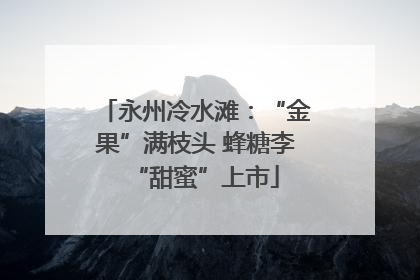 永州冷水滩：“金果”满枝头 蜂糖李“甜蜜”上市