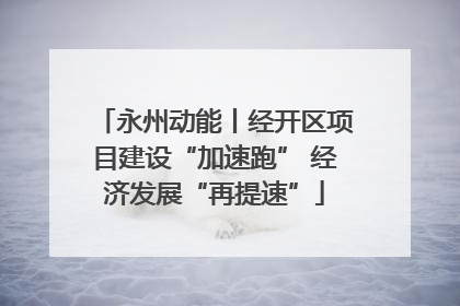永州动能丨经开区项目建设“加速跑” 经济发展“再提速”